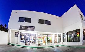 Cozy 1Br Studio Close To Downtown Cabo #6